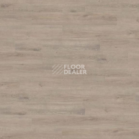 Ламинат Haro Tritty 200 Aqua 4V ДУБ ВЕНЕТО МОККА 537373 фото 1 | FLOORDEALER